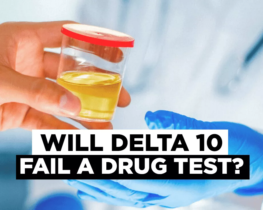 Will delta 10 fail a drug test? post thumbnail image